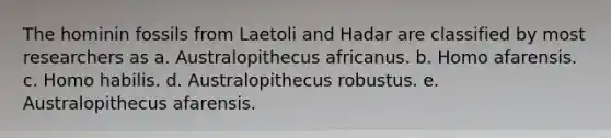 The hominin fossils from Laetoli and Hadar are classified by most researchers as a. Australopithecus africanus. b. Homo afarensis. c. Homo habilis. d. Australopithecus robustus. e. Australopithecus afarensis.