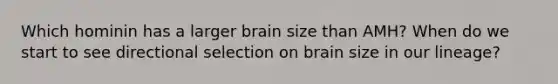 Which hominin has a larger brain size than AMH? When do we start to see directional selection on brain size in our lineage?