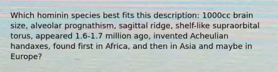 Which hominin species best fits this description: 1000cc brain size, alveolar prognathism, sagittal ridge, shelf-like supraorbital torus, appeared 1.6-1.7 million ago, invented Acheulian handaxes, found first in Africa, and then in Asia and maybe in Europe?