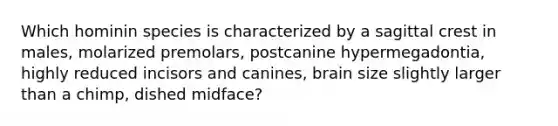 Which hominin species is characterized by a sagittal crest in males, molarized premolars, postcanine hypermegadontia, highly reduced incisors and canines, brain size slightly larger than a chimp, dished midface?