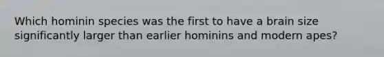 Which hominin species was the first to have a brain size significantly larger than earlier hominins and modern apes?