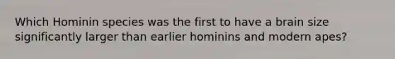 Which Hominin species was the first to have a brain size significantly larger than earlier hominins and modern apes?