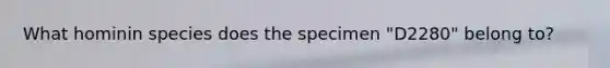 What hominin species does the specimen "D2280" belong to?