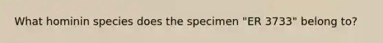 What hominin species does the specimen "ER 3733" belong to?