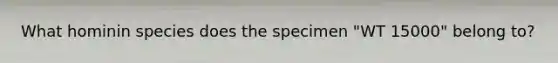 What hominin species does the specimen "WT 15000" belong to?