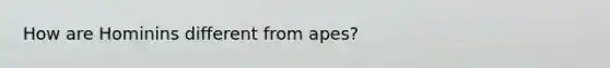 How are Hominins different from apes?