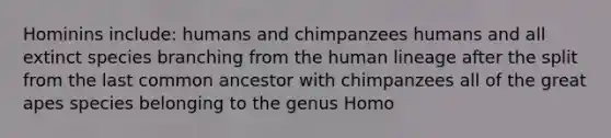 Hominins include: humans and chimpanzees humans and all extinct species branching from the human lineage after the split from the last common ancestor with chimpanzees all of the great apes species belonging to the genus Homo