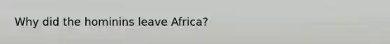 Why did the hominins leave Africa?