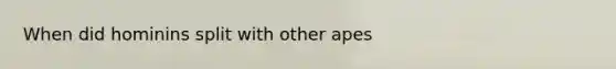 When did hominins split with other apes