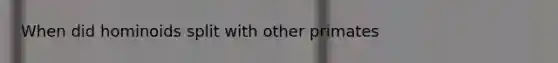 When did hominoids split with other primates