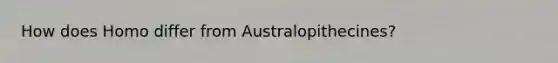How does Homo differ from Australopithecines?
