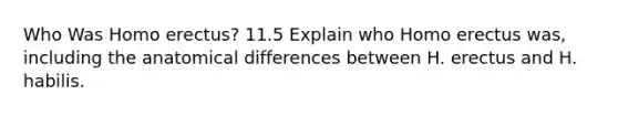 Who Was Homo erectus? 11.5 Explain who Homo erectus was, including the anatomical differences between H. erectus and H. habilis.