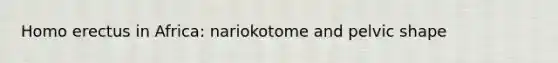 Homo erectus in Africa: nariokotome and pelvic shape