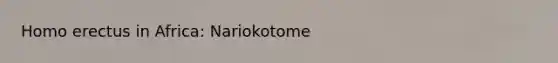 Homo erectus in Africa: Nariokotome