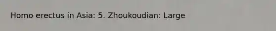 Homo erectus in Asia: 5. Zhoukoudian: Large