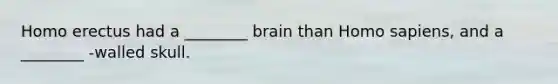 Homo erectus had a ________ brain than Homo sapiens, and a ________ -walled skull.