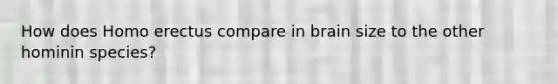 How does <a href='https://www.questionai.com/knowledge/kI1ONx7LAC-homo-erectus' class='anchor-knowledge'>homo erectus</a> compare in brain size to the other hominin species?