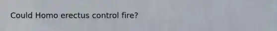 Could Homo erectus control fire?