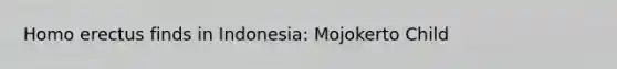 Homo erectus finds in Indonesia: Mojokerto Child