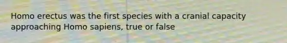 Homo erectus was the first species with a cranial capacity approaching Homo sapiens, true or false