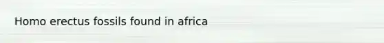 Homo erectus fossils found in africa