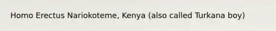 Homo Erectus Nariokoteme, Kenya (also called Turkana boy)