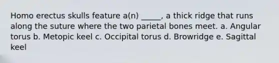 <a href='https://www.questionai.com/knowledge/kI1ONx7LAC-homo-erectus' class='anchor-knowledge'>homo erectus</a> skulls feature a(n) _____, a thick ridge that runs along the suture where the two parietal bones meet. a. Angular torus b. Metopic keel c. Occipital torus d. Browridge e. Sagittal keel