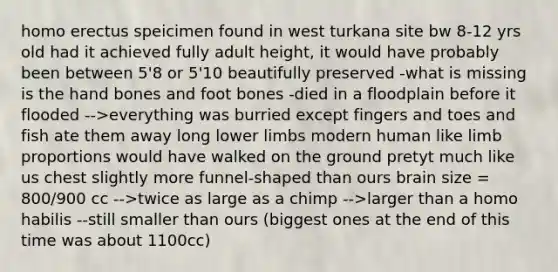 homo erectus speicimen found in west turkana site bw 8-12 yrs old had it achieved fully adult height, it would have probably been between 5'8 or 5'10 beautifully preserved -what is missing is the hand bones and foot bones -died in a floodplain before it flooded -->everything was burried except fingers and toes and fish ate them away long lower limbs modern human like limb proportions would have walked on the ground pretyt much like us chest slightly more funnel-shaped than ours brain size = 800/900 cc -->twice as large as a chimp -->larger than a homo habilis --still smaller than ours (biggest ones at the end of this time was about 1100cc)