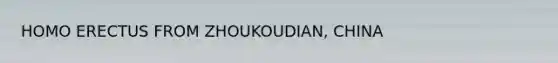 HOMO ERECTUS FROM ZHOUKOUDIAN, CHINA
