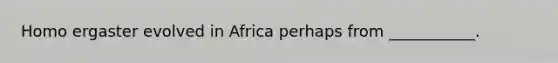 Homo ergaster evolved in Africa perhaps from ___________.