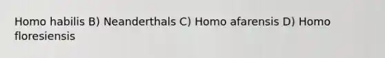 Homo habilis B) Neanderthals C) Homo afarensis D) Homo floresiensis