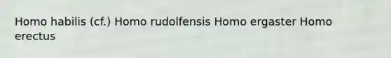Homo habilis (cf.) Homo rudolfensis Homo ergaster Homo erectus