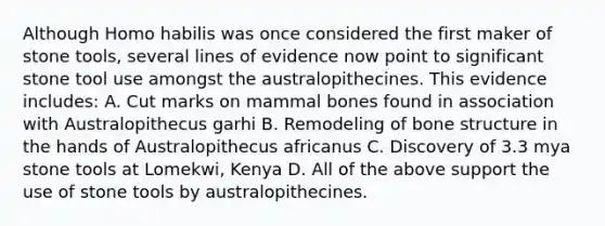 Although Homo habilis was once considered the first maker of stone tools, several lines of evidence now point to significant stone tool use amongst the australopithecines. This evidence includes: A. Cut marks on mammal bones found in association with Australopithecus garhi B. Remodeling of bone structure in the hands of Australopithecus africanus C. Discovery of 3.3 mya stone tools at Lomekwi, Kenya D. All of the above support the use of stone tools by australopithecines.