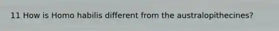 11 How is <a href='https://www.questionai.com/knowledge/kG3hgw3hYa-homo-habilis' class='anchor-knowledge'>homo habilis</a> different from the australopithecines?