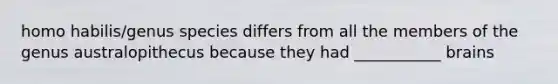 homo habilis/genus species differs from all the members of the genus australopithecus because they had ___________ brains