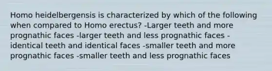 Homo heidelbergensis is characterized by which of the following when compared to Homo erectus? -Larger teeth and more prognathic faces -larger teeth and less prognathic faces -identical teeth and identical faces -smaller teeth and more prognathic faces -smaller teeth and less prognathic faces