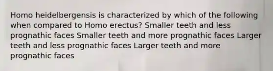 Homo heidelbergensis is characterized by which of the following when compared to Homo erectus? Smaller teeth and less prognathic faces Smaller teeth and more prognathic faces Larger teeth and less prognathic faces Larger teeth and more prognathic faces