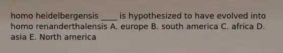 homo heidelbergensis ____ is hypothesized to have evolved into homo renanderthalensis A. europe B. south america C. africa D. asia E. North america