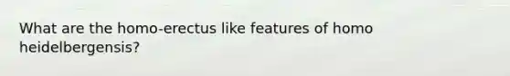 What are the homo-erectus like features of homo heidelbergensis?