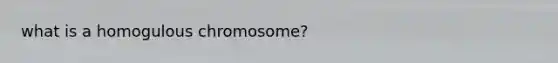 what is a homogulous chromosome?