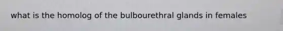 what is the homolog of the bulbourethral glands in females