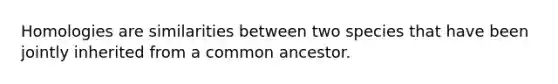 Homologies are similarities between two species that have been jointly inherited from a common ancestor.