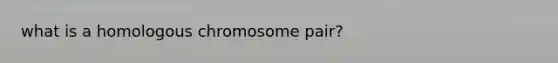 what is a homologous chromosome pair?