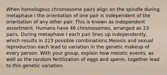 When homologous chromosome pairs align on the spindle during metaphase I the orientation of one pair is independent of the orientation of any other pair. This is known as independent assortment. Humans have 46 chromosomes, arranged as 23 pairs. During metaphase I each pair lines up independently, which results in 223 possible combinations.Meiosis and sexual reproduction each lead to variation in the genetic makeup of every person. With your group, explain how meiotic events, as well as the random fertilization of eggs and sperm, together lead to this genetic variation.