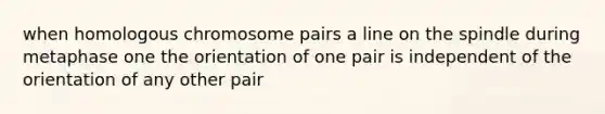 when homologous chromosome pairs a line on the spindle during metaphase one the orientation of one pair is independent of the orientation of any other pair