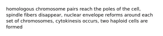 homologous chromosome pairs reach the poles of the cell, spindle fibers disappear, nuclear envelope reforms around each set of chromosomes, cytokinesis occurs, two haploid cells are formed