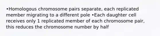 •Homologous chromosome pairs separate, each replicated member migrating to a different pole •Each daughter cell receives only 1 replicated member of each chromosome pair, this reduces the chromosome number by half