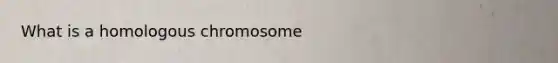 What is a homologous chromosome