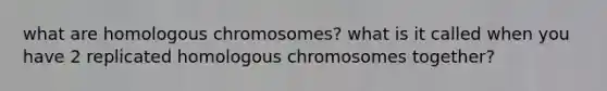 what are homologous chromosomes? what is it called when you have 2 replicated homologous chromosomes together?