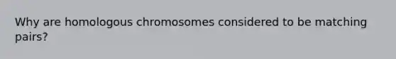 Why are homologous chromosomes considered to be matching pairs?